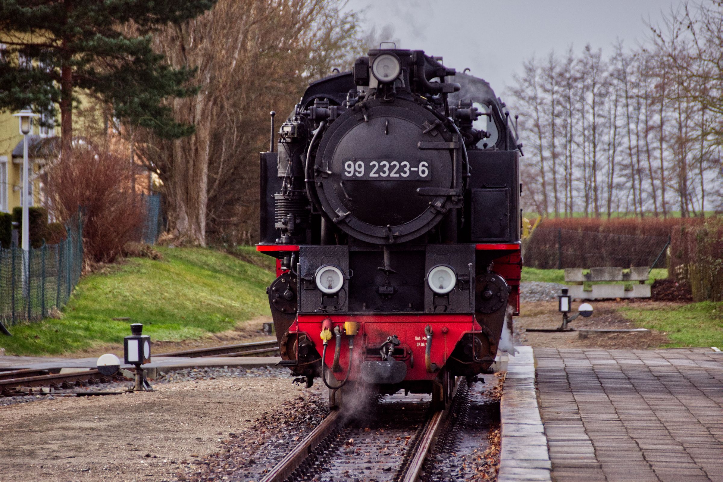 Molli Bahn Bad Doberan